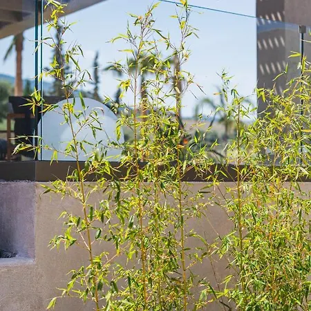 Maravilla Luxury Living & Villa Kos