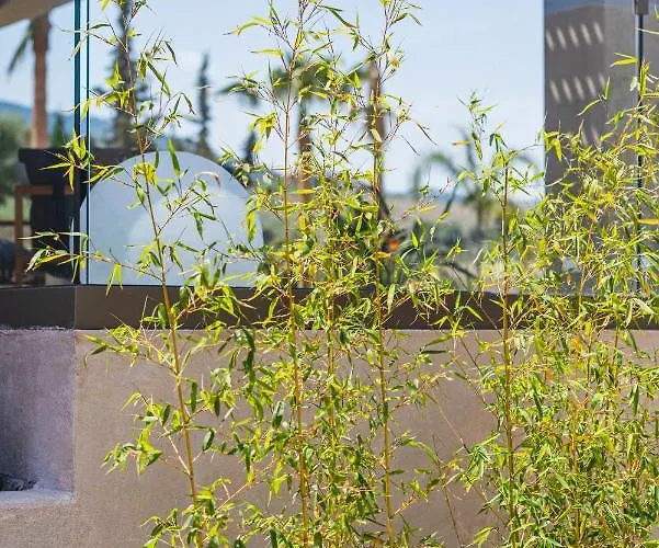 Maravilla Luxury Living & Villa Kosz